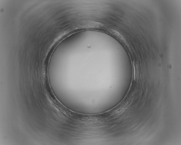 X0000073710435200608311758