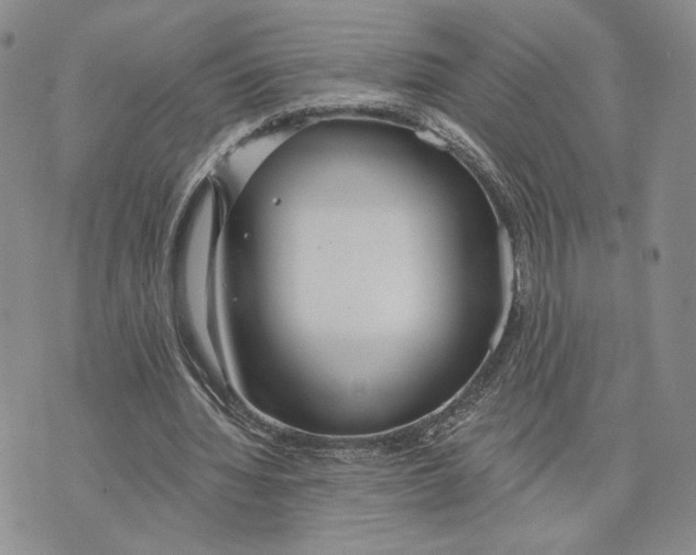 X0000073710436200608311758