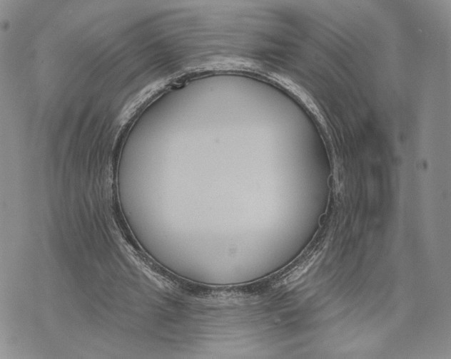 X0000073710437200608311758