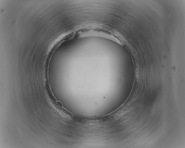 X0000073710438200608311758