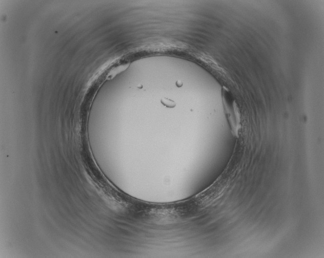 X0000073710440200608311758