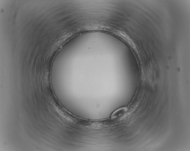 X0000073710441200608311758