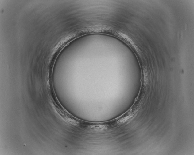 X0000073710443200608311758