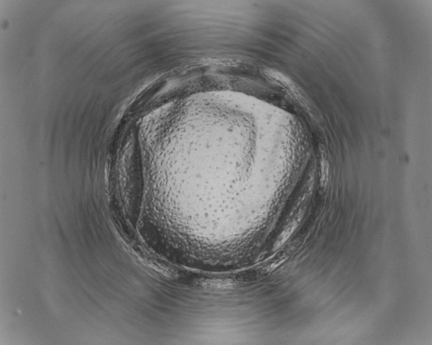 X0000073710444200608311758