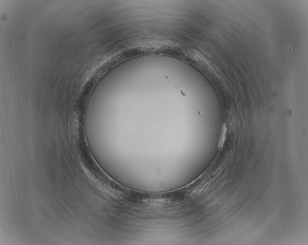 X0000073710448200608311758