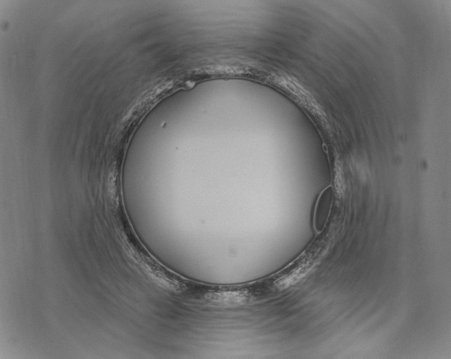 X0000073710449200608311758