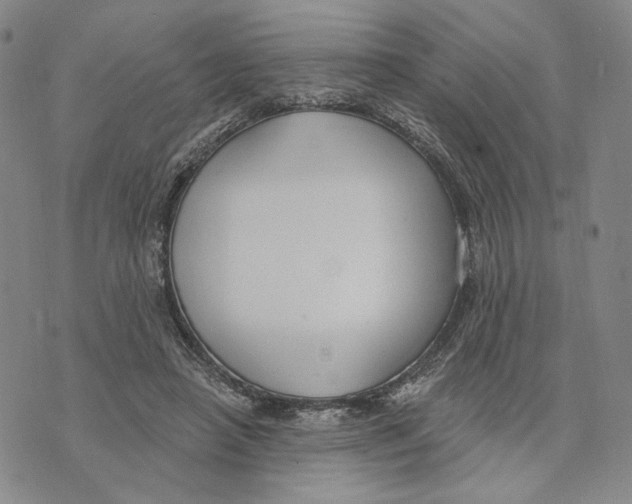 X0000073710450200608311759