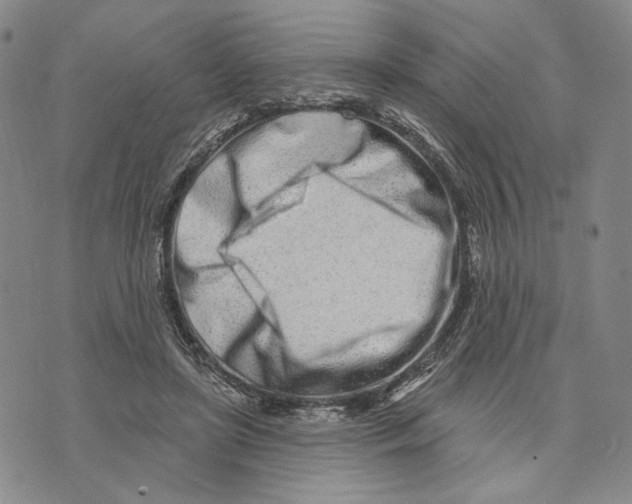 X0000073710451200608311759