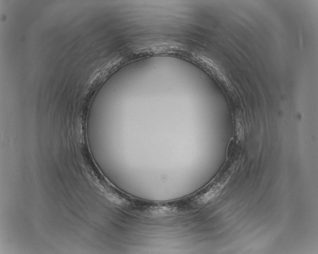 X0000073710453200608311759