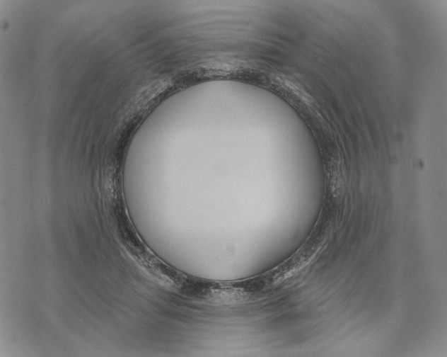 X0000073710455200608311759