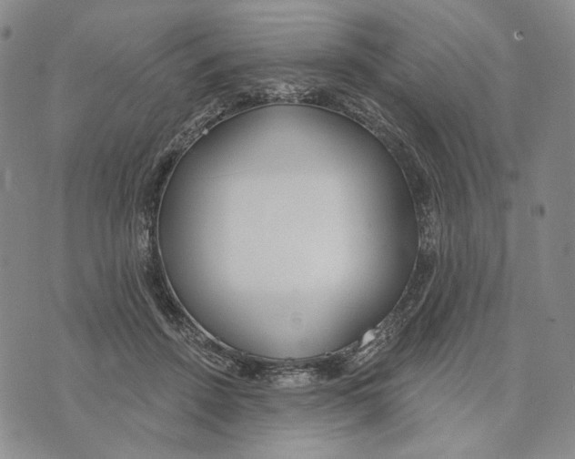 X0000073710456200608311759