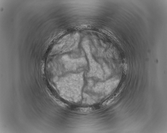 X0000073710458200608311759