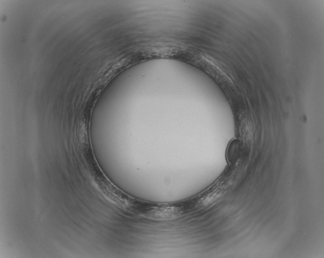 X0000073710459200608311759