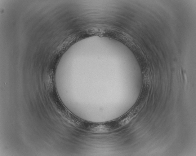 X0000073710460200608311759