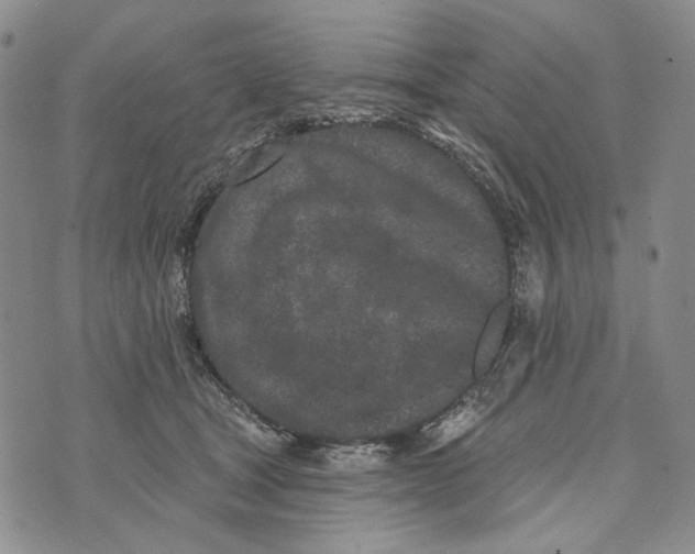 X0000073710465200608311759