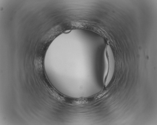 X0000073710466200608311759