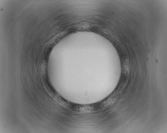 X0000073710468200608311759