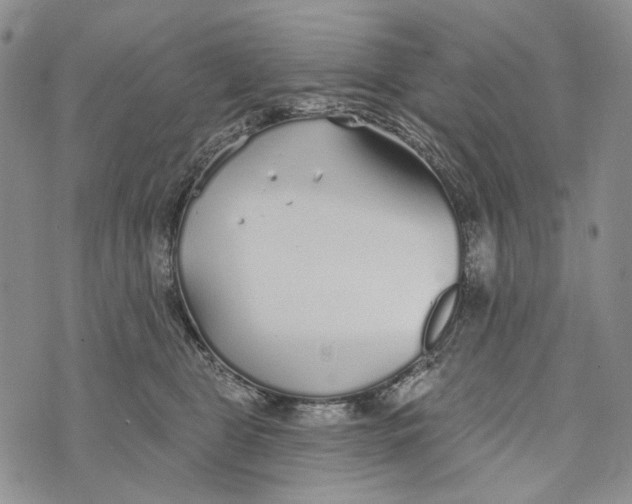 X0000073710469200608311759