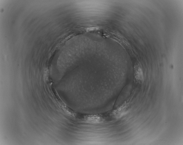 X0000073710471200608311759