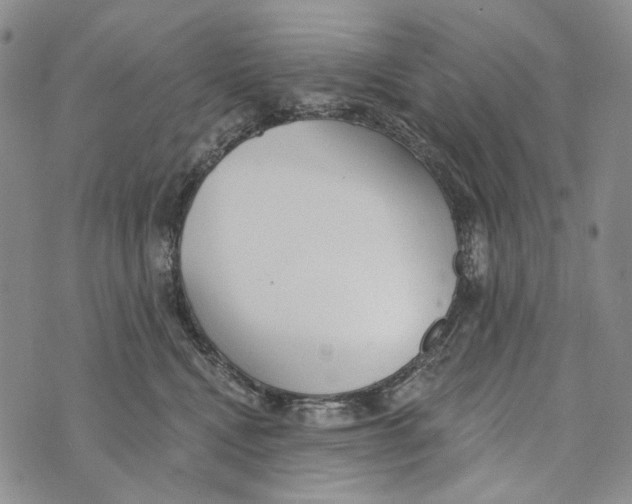 X0000073710472200608311759