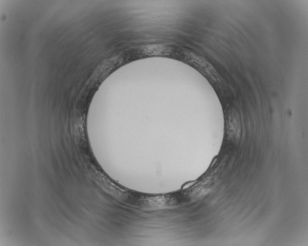 X0000073710473200608311759