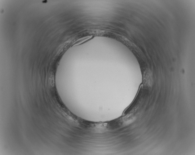 X0000073710474200608311759