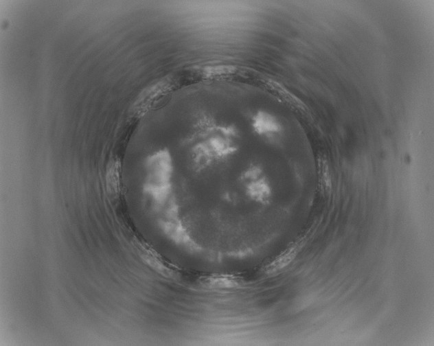 X0000073710475200608311759