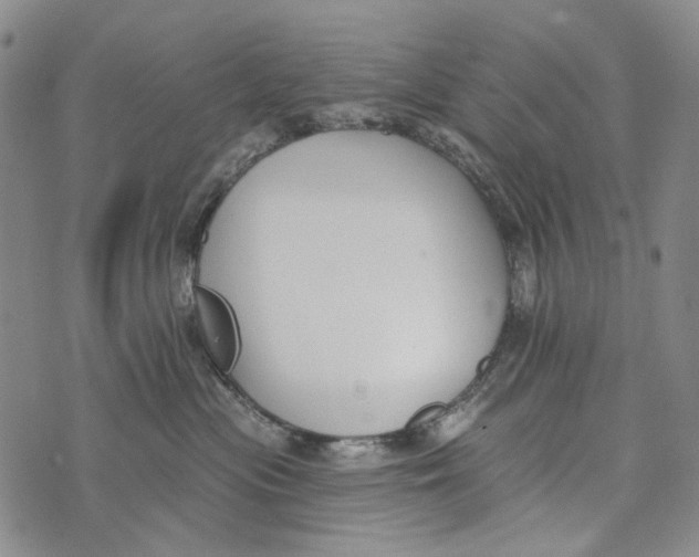 X0000073710477200608311759