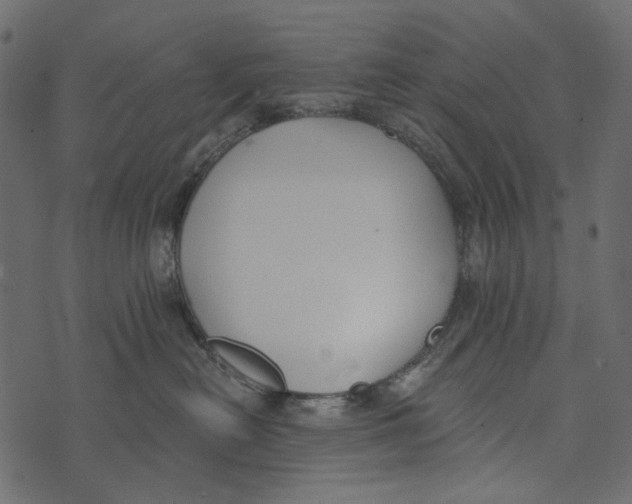 X0000073710478200608311759