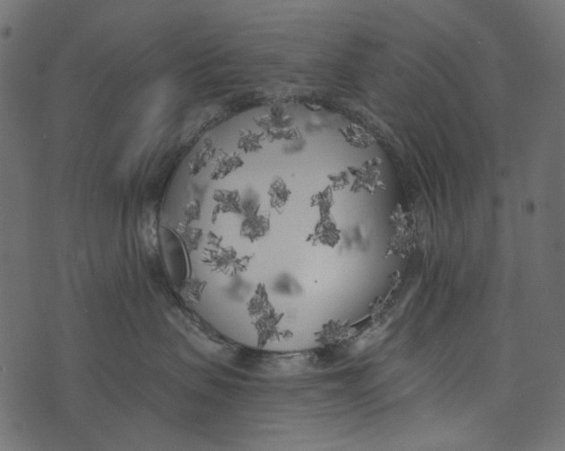 X0000073710479200608311759