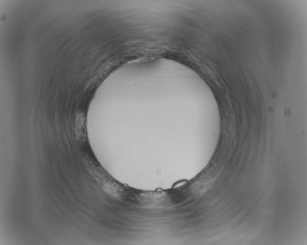 X0000073710480200608311759