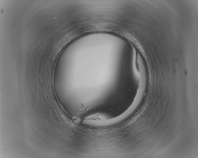 X0000073710481200608311758