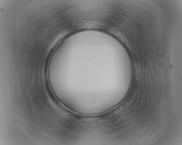 X0000073710482200608311758