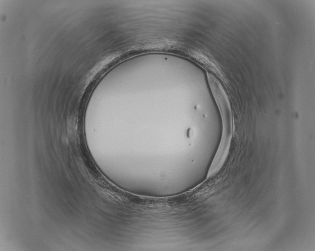 X0000073710483200608311758