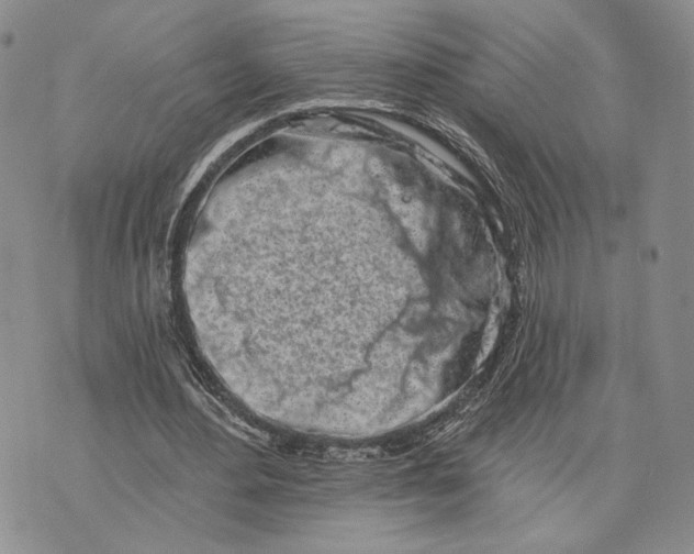 X0000073710484200608311758