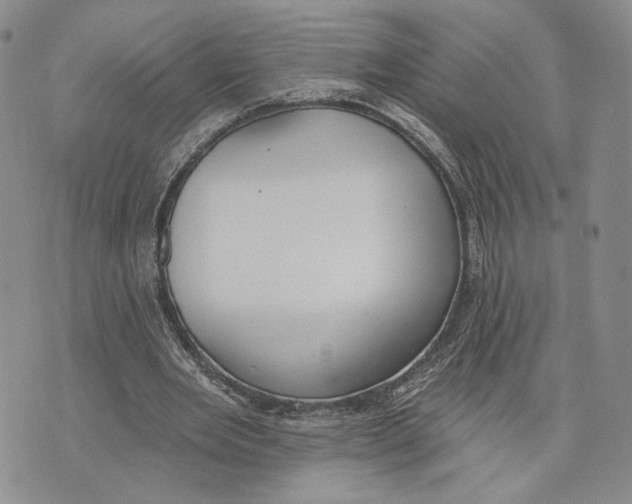 X0000073710485200608311758