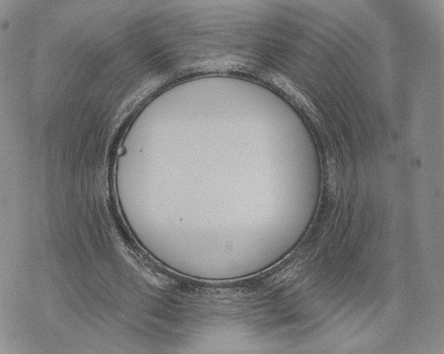 X0000073710486200608311758