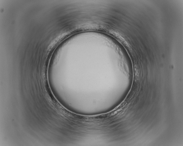 X0000073710487200608311758