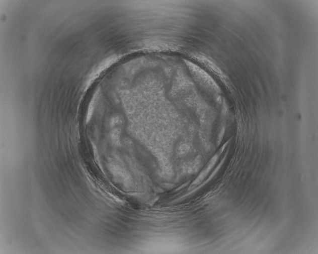 X0000073710488200608311758