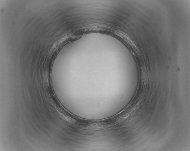 X0000073710489200608311758