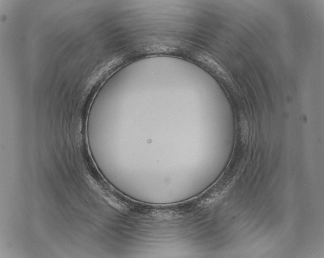 X0000073710490200608311758