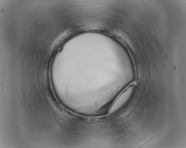 X0000073710491200608311758