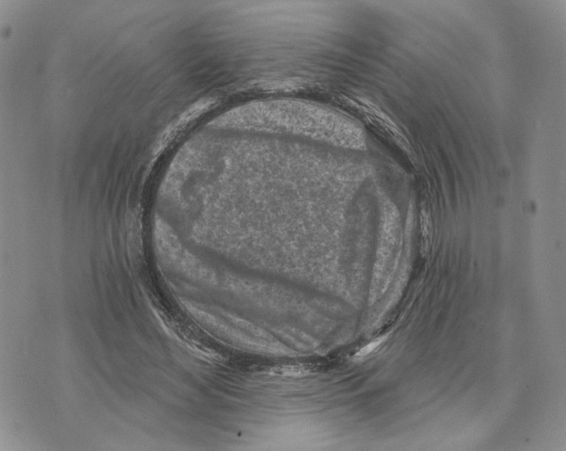 X0000073710492200608311758