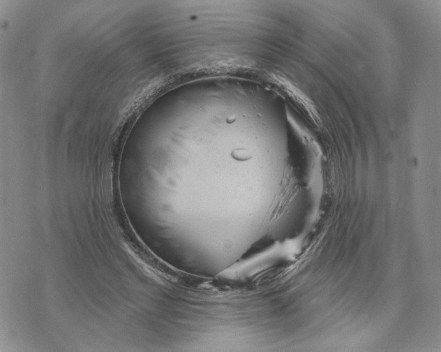 X0000073710493200608311758