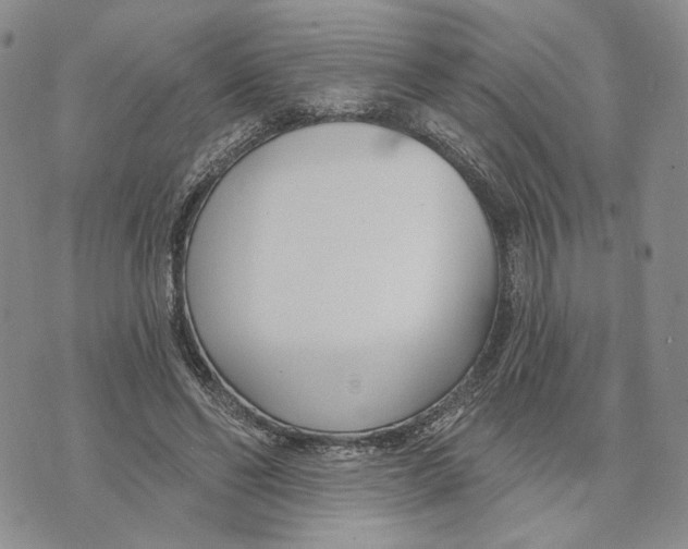 X0000073710494200608311758