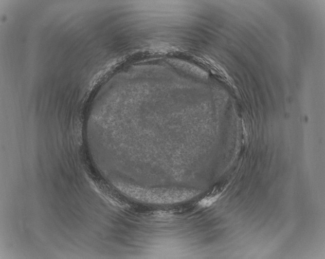 X0000073710496200608311758