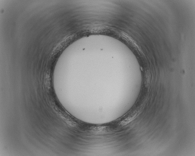 X0000073710497200608311758