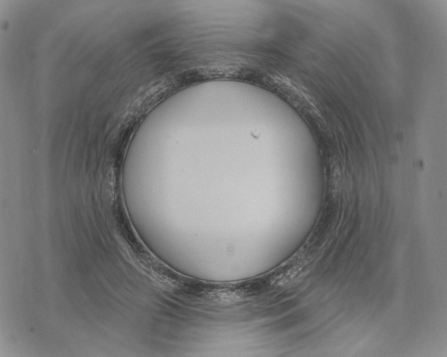 X0000073710498200608311758