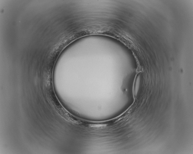 X0000073710499200608311758