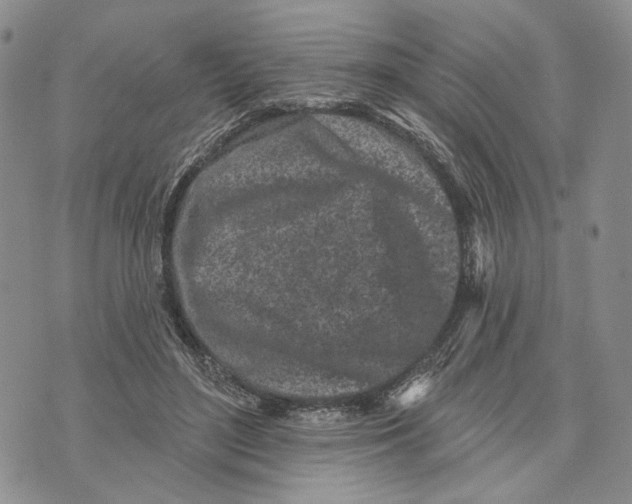 X0000073710500200608311758